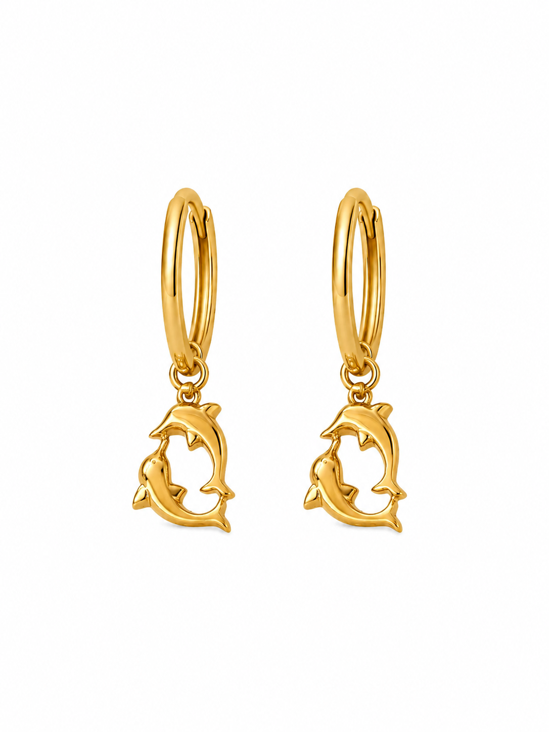 Dancing Dolphin Hoops