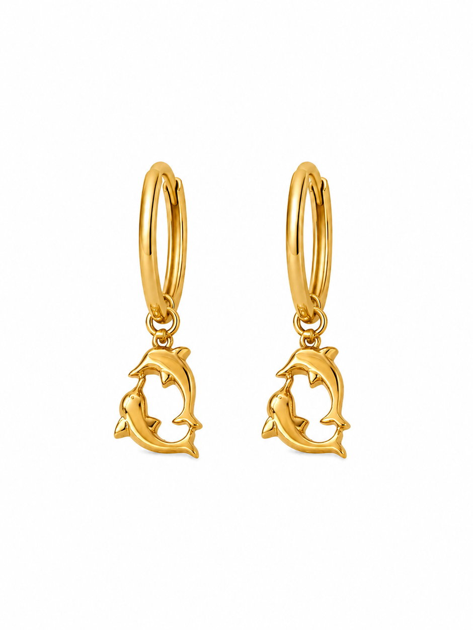 Dancing Dolphin Hoops